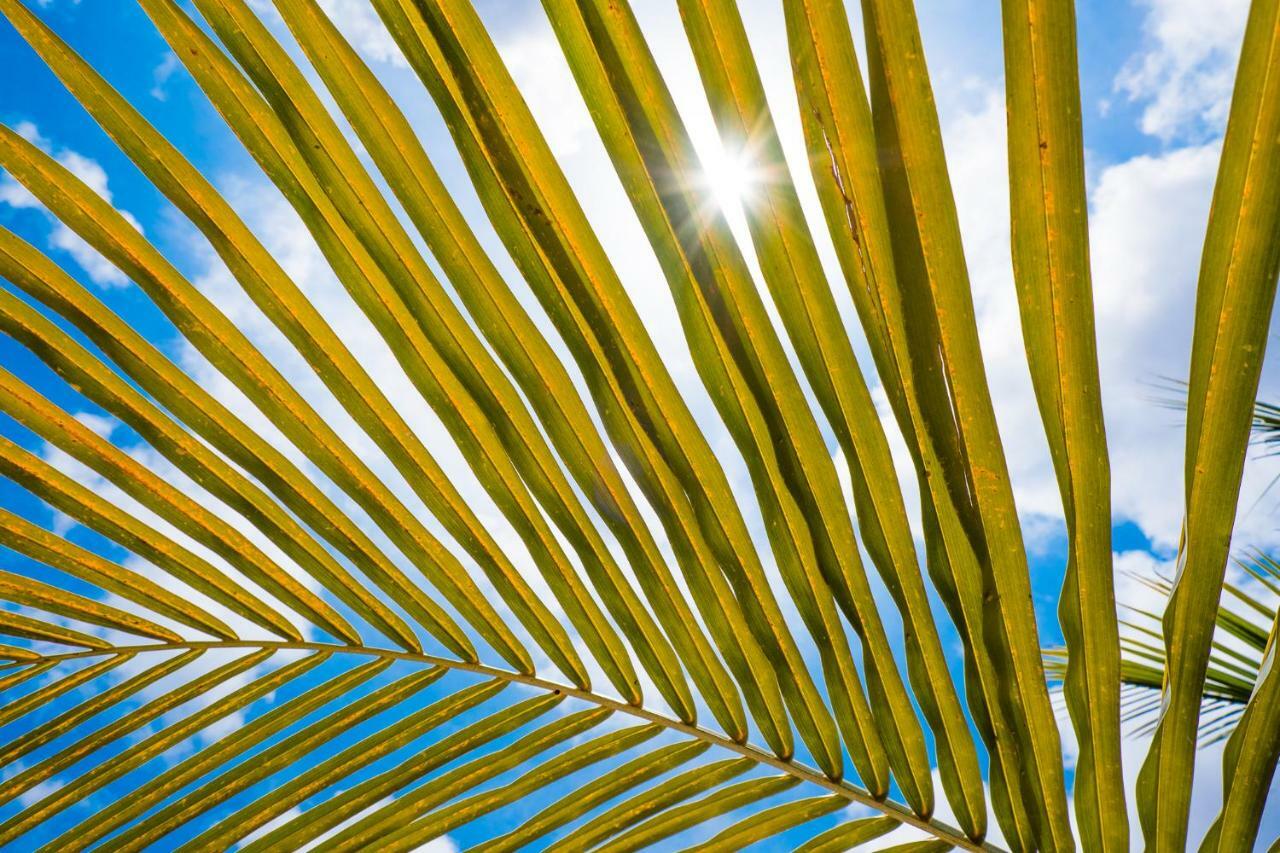 Beaches Bonaire Playa Esterno foto